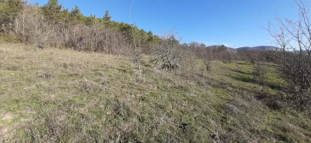 Участок в Крым, Бахчисарайский район, Голубинское с/пос, с. Аромат ул. ... - Фото 2