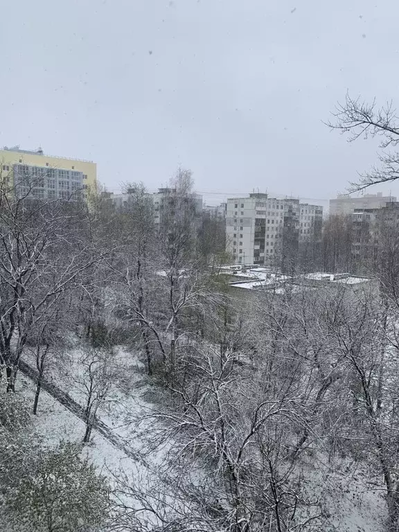 2-к кв. Нижегородская область, Нижний Новгород ул. Маршала Жукова, 10 ... - Фото 0