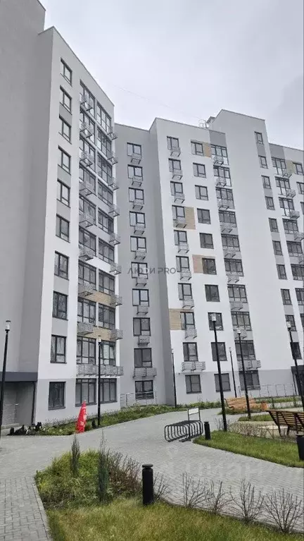 Студия Саратовская область, Энгельс Полиграфическая ул., 77А (21.8 м) - Фото 1