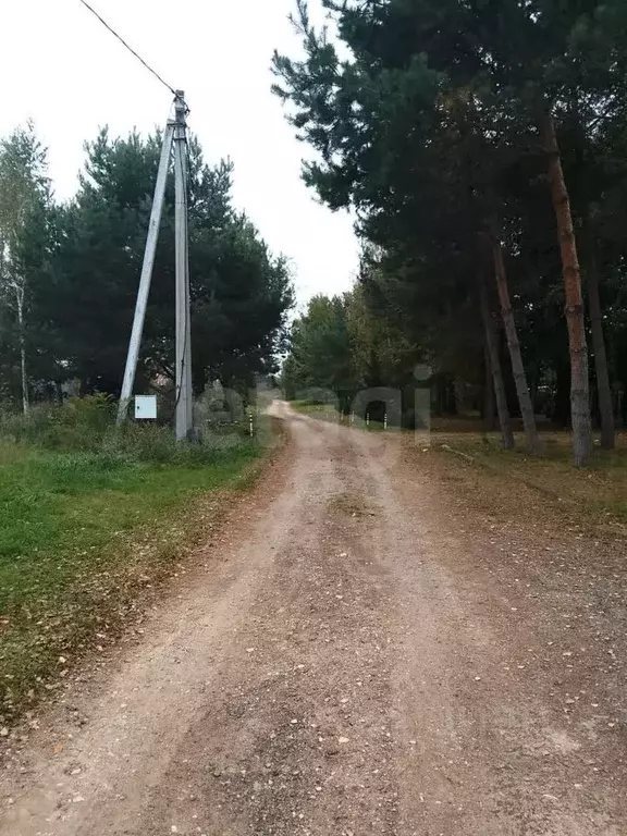 Участок в Калужская область, Дзержинский муниципальный округ, Дворцы ... - Фото 1