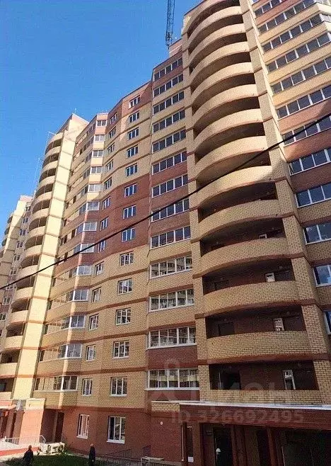 2-к кв. Московская область, Дмитровский муниципальный округ, д. ... - Фото 2