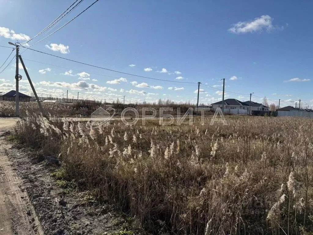 Участок в Тюменская область, Тюмень Большое Царево-1 СНТ,  (10.0 сот.) - Фото 1