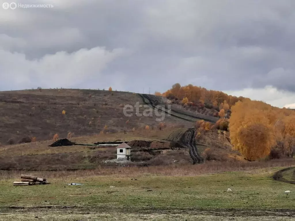 Участок в Алтайский край, Бийск (300 м) - Фото 2