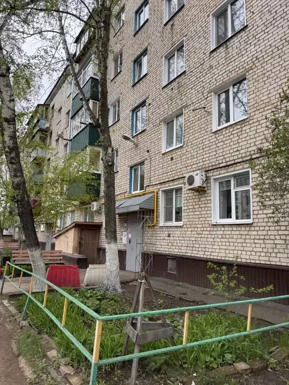 1-к кв. Оренбургская область, Бузулук ул. Рожкова, 38 (31.0 м) - Фото 1