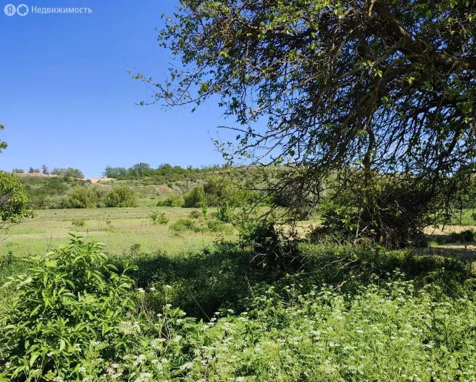 Участок в село Литвиненково, Советская улица, уч44 (18 м) - Фото 1