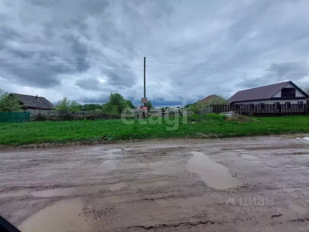Участок в Пензенская область, Лунинский район, с. Большой Вьяс ул. ... - Фото 1