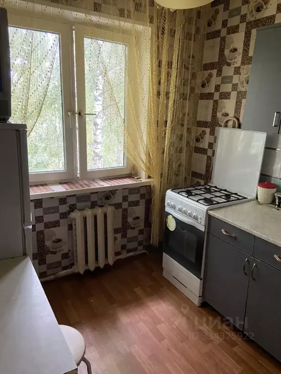 1-к кв. Московская область, Раменское Коммунистическая ул., 16 (33.0 ... - Фото 2