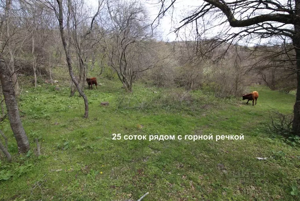 Участок в Крым, Алушта городской округ, с. Генеральское ул. Фонтанная . - Фото 1