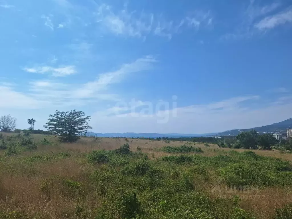 Участок в Краснодарский край, Геленджик городской округ, с. Кабардинка ... - Фото 1