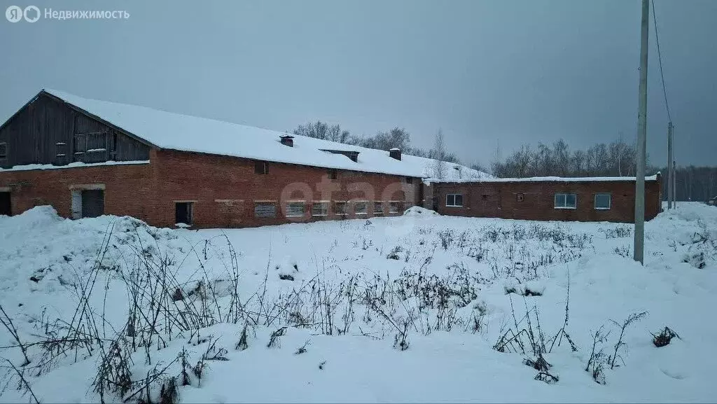 Производственное помещение (1719.5 м) - Фото 2