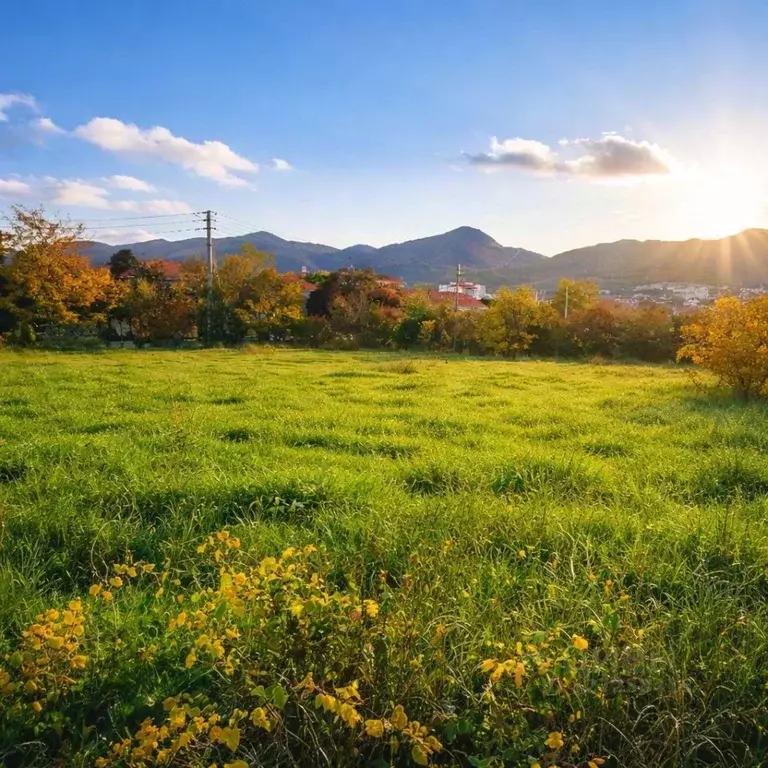 Участок в Краснодарский край, Геленджик городской округ, с. Кабардинка ... - Фото 2