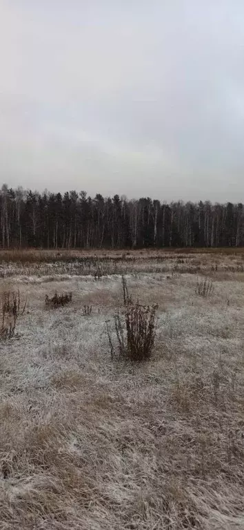 Участок в Московская область, Шатура муниципальный округ, пос. ... - Фото 0
