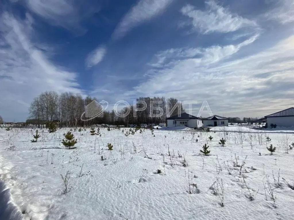 Участок в Тюменская область, Тюменский район, Новокаменский кп ул. ... - Фото 1