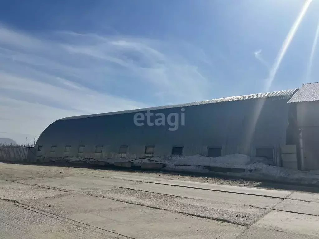 Склад в Ямало-Ненецкий АО, Новый Уренгой 2-й мкр, ул. ... - Фото 2