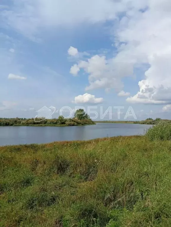 Участок в Тюменская область, Тюменский район, д. Есаулова ул. Гайдара, ... - Фото 0