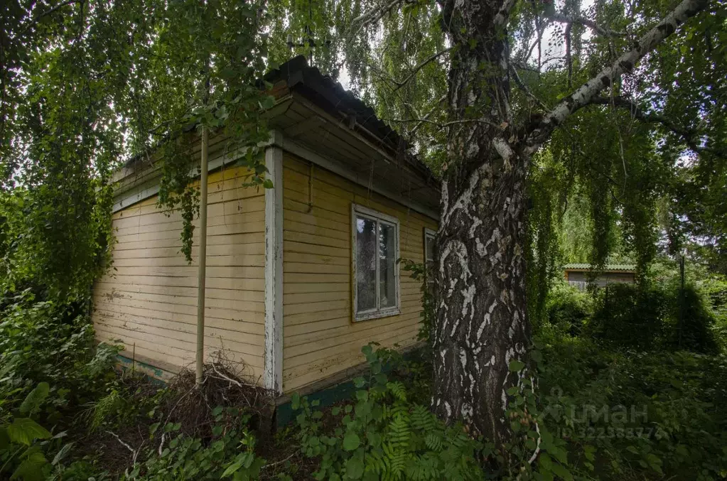 Дом в Омская область, Омск СОСН Заря-1 тер., аллея 4-я (30 м) - Фото 2