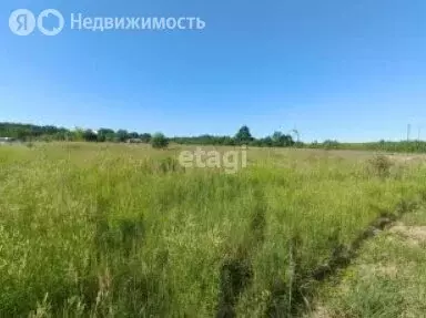 Участок в Пермский край, Нытвенский муниципальный округ, деревня ... - Фото 0