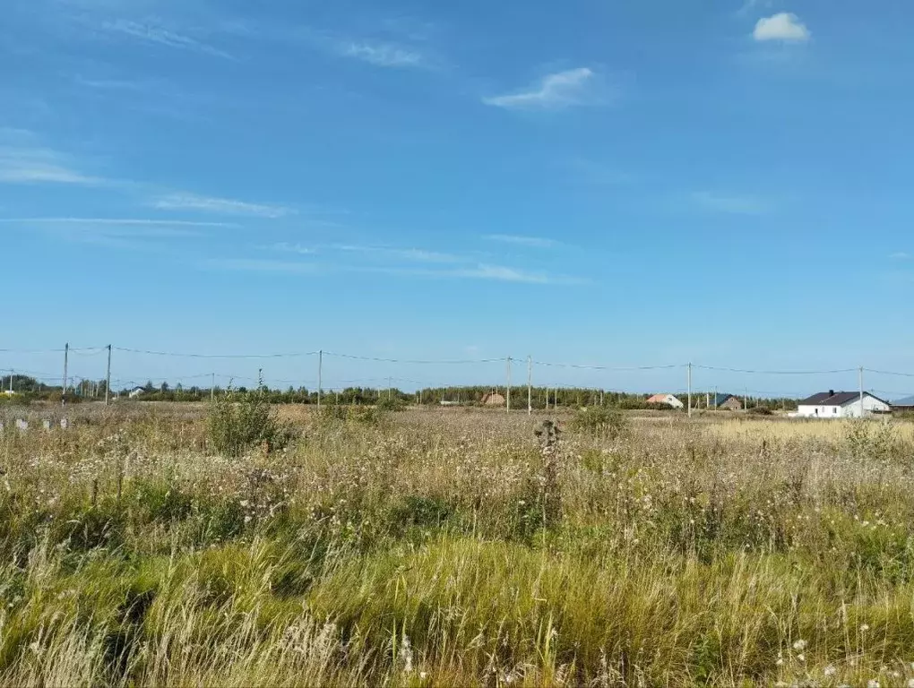 Участок в Костромская область, Кострома Первый кп,  (8.3 сот.) - Фото 1