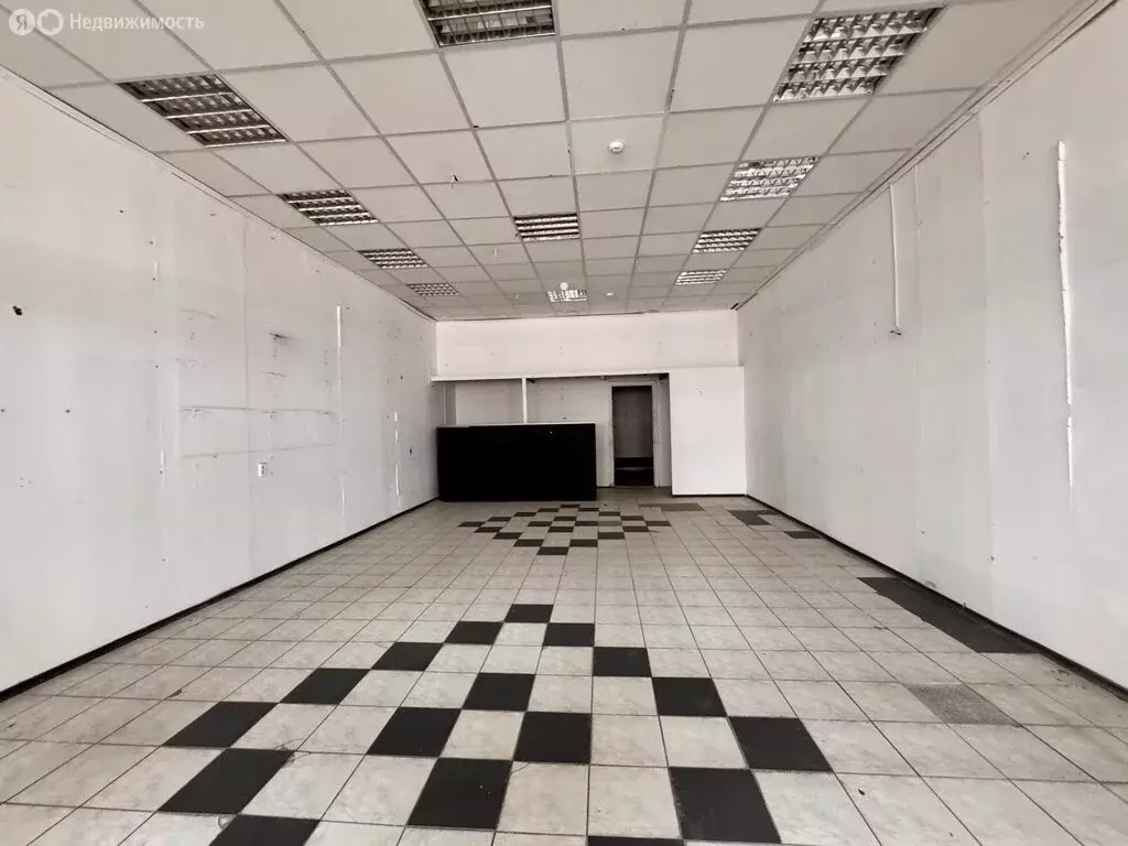 Помещение свободного назначения (33.3 м) - Фото 2