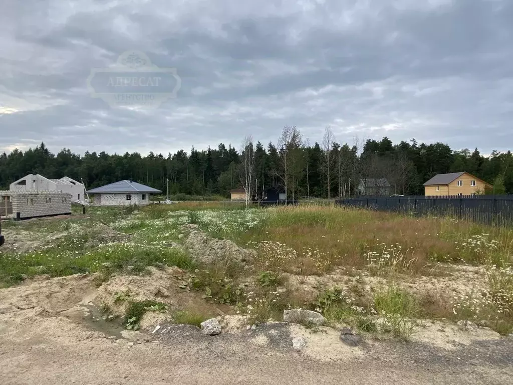 Участок в Ленинградская область, Всеволожский район, Лесколовское ... - Фото 1