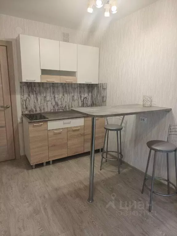 Студия Пермский край, д. Кондратово ул. Водопроводная, 6/1 (25.0 м) - Фото 2