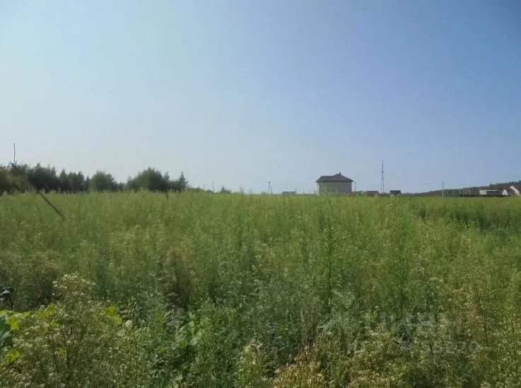 Участок в Московская область, Дмитровский муниципальный округ, пос. ... - Фото 0