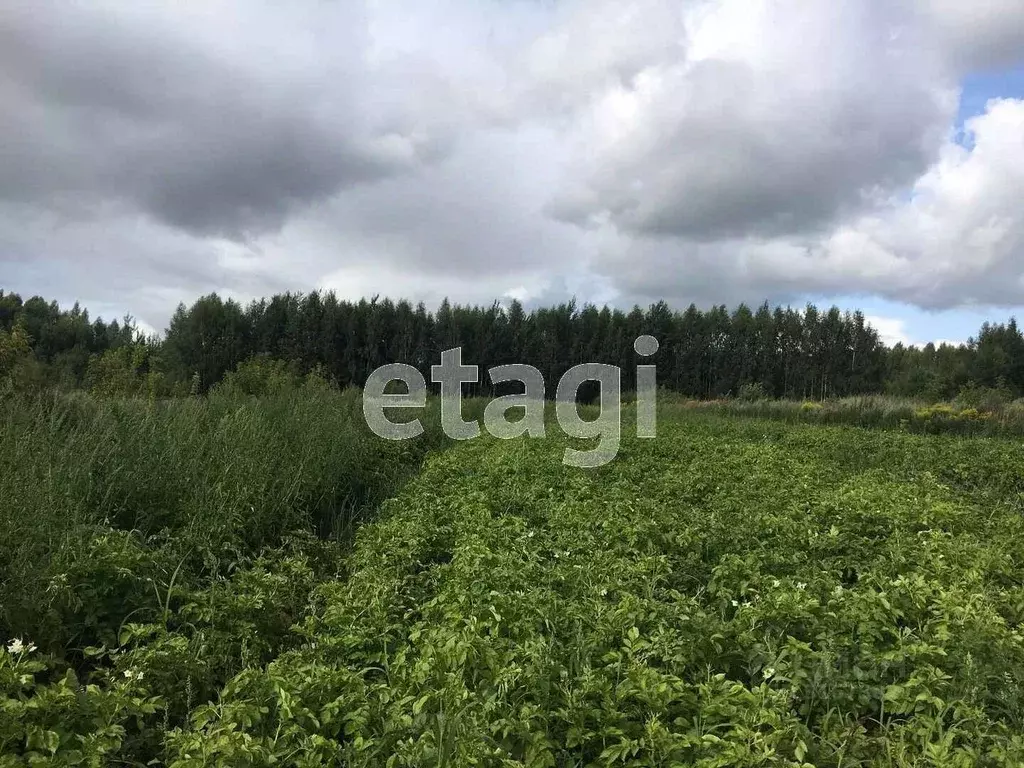 Участок в Ярославская область, Ярославский муниципальный округ, д. ... - Фото 1