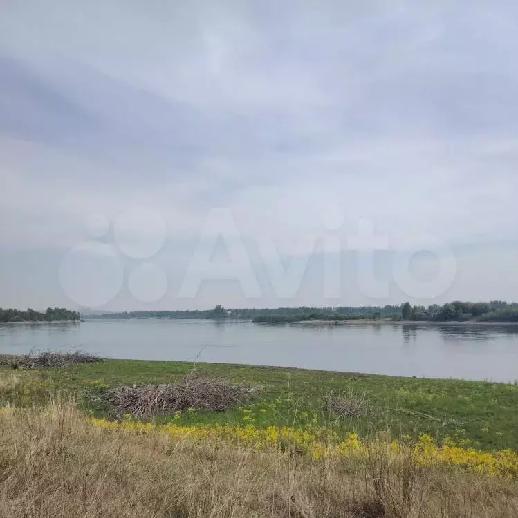 Участок 20 сот. (СНТ, ДНП) - Фото 0