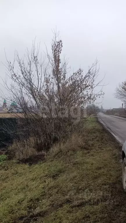 Участок в Мордовия, Саранск городской округ, с. Зыково ул. Советская, ... - Фото 0