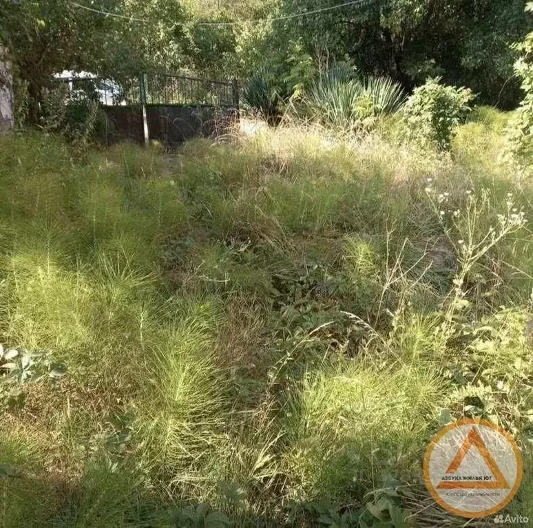 Участок в Краснодарский край, Туапсинский муниципальный округ, с. ... - Фото 2