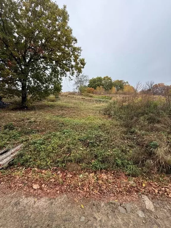 Участок в Приморский край, Уссурийск Строитель СТ, 70 (5.13 сот.) - Фото 1