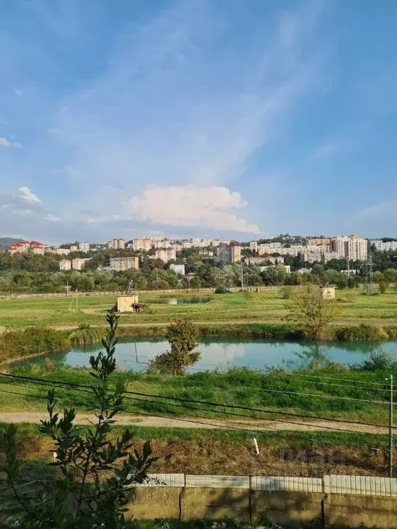 Участок в Краснодарский край, Сочи Дружба садоводческое товарищество, ... - Фото 2