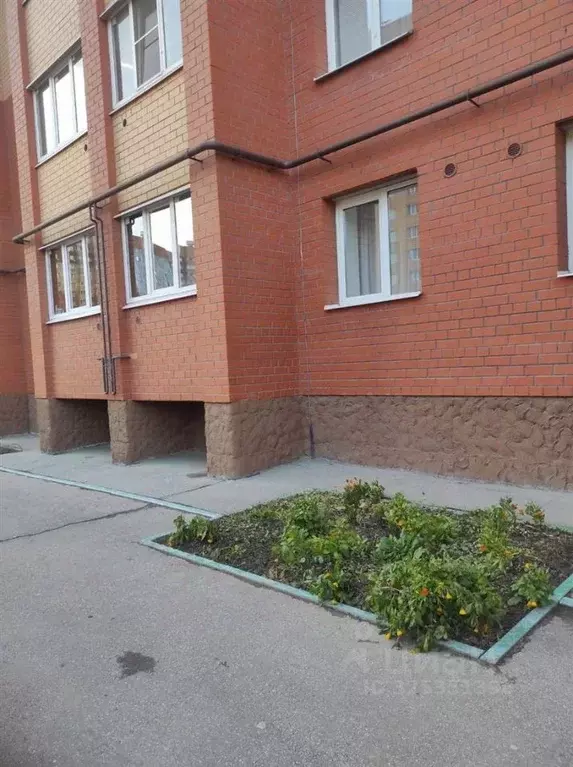 Студия Рязанская область, Рязань ул. Семчинская, 11к2 (22.8 м) - Фото 1