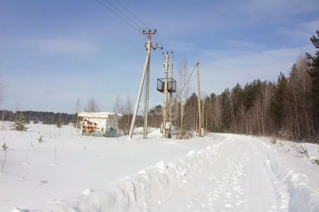 Купить Участок В Сухом Логу