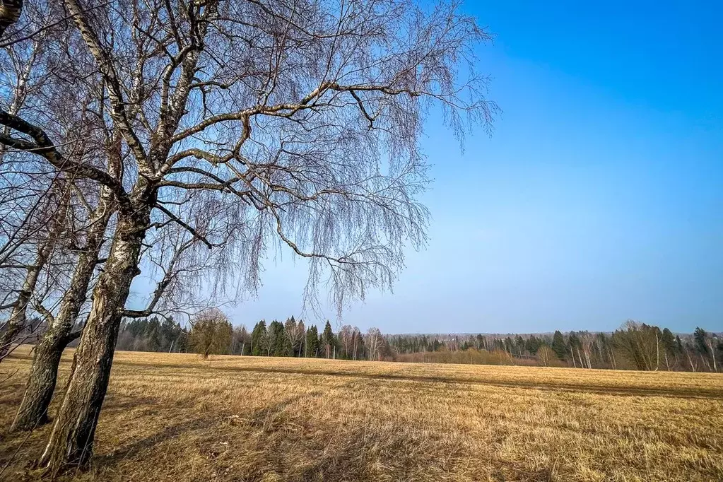 Участок в Московская область, Дмитровский муниципальный округ, ... - Фото 2