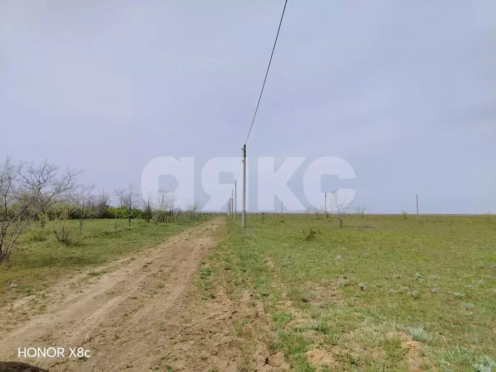 Участок в Волгоградская область, Городищенский район, Царицынское ... - Фото 1