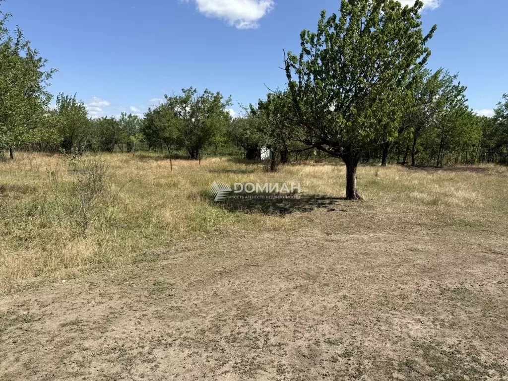 Участок в Ростовская область, Октябрьский район, пос. Персиановский, ... - Фото 2