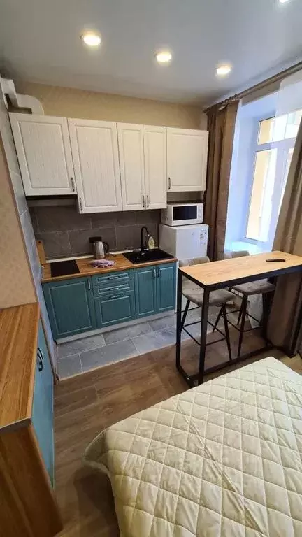 Студия Санкт-Петербург ул. Шкапина, 42 (20.0 м) - Фото 0