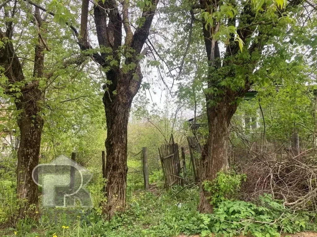 Участок в Московская область, Солнечногорск городской округ, д. ... - Фото 2