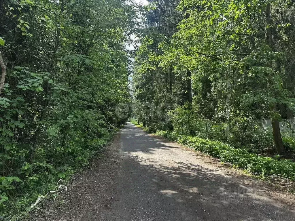 Участок в Московская область, Пушкинский городской округ, ... - Фото 1