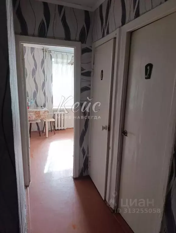 2-к кв. Крым, Феодосия ул. Чкалова, 179 (50.1 м) - Фото 2