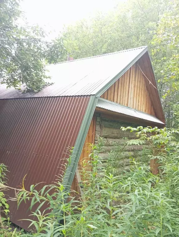 Участок в Пермский край, Нытвенский муниципальный округ, д. Первунята ... - Фото 1