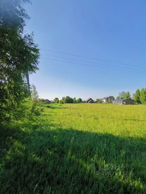 Участок в Тверская область, Калининский муниципальный округ, д. ... - Фото 2