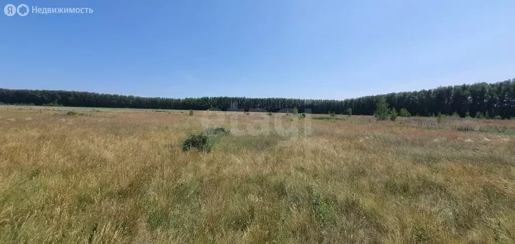 Участок в Омский район, село Усть-Заостровка (13 м) - Фото 1