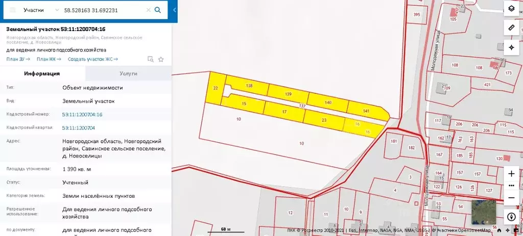 Участок в Новгородская область, Новгородский район, Савинское с/пос, ... - Фото 2