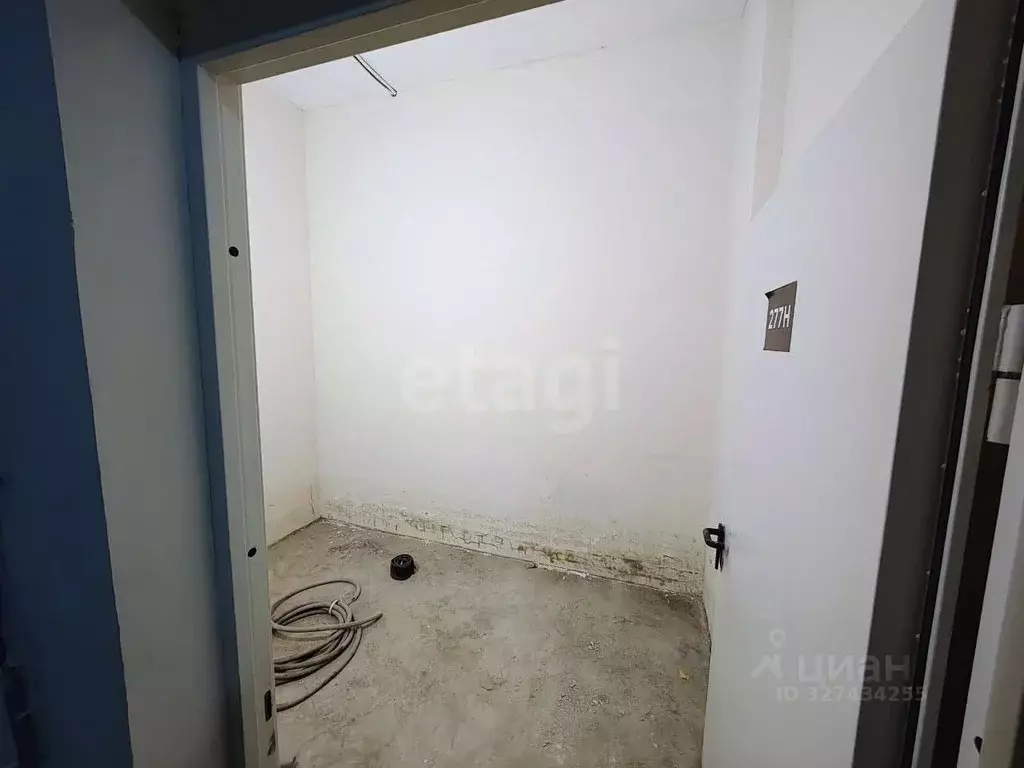 Помещение свободного назначения в Санкт-Петербург просп. Тореза, 118 ... - Фото 1