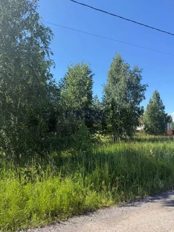 Участок в Рязанская область, Рязанский муниципальный округ, пос. ... - Фото 2