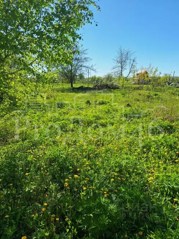 Участок в Курская область, Курск Ромашка-3 садовое товарищество, 466 ... - Фото 1