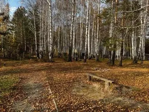 Помещение свободного назначения в Свердловская область, Березовский ... - Фото 1