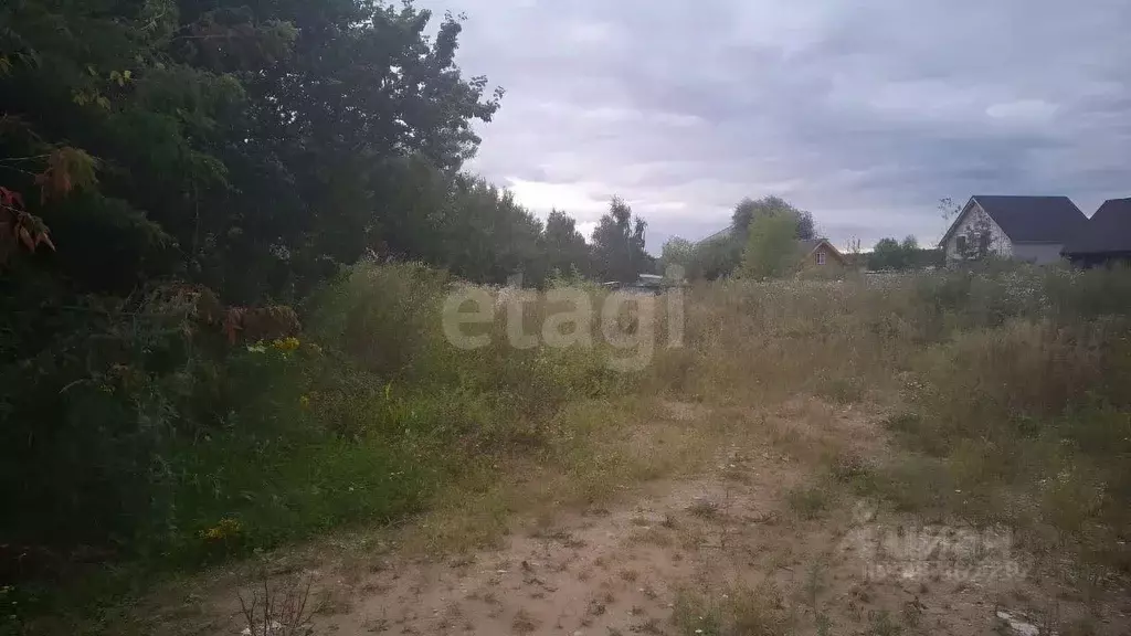 Участок в Московская область, Раменский городской округ, с. Сельцо ул. ... - Фото 0